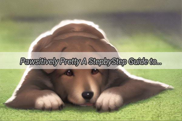 Pawsitively Pretty A StepbyStep Guide to Makeup and Fashion for Your Furry Friend